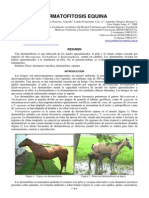 ETT EQUINO - Dermatofitosis PDF