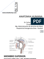 Clase Anatomia Humana.pdf