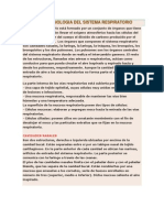 Anatomia y Fisiologia Del Sistema Respiratorio