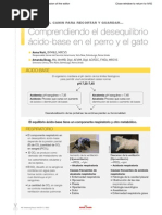 Comprendiendoo el desequilibrio ácido base en el perro y el gato.pdf