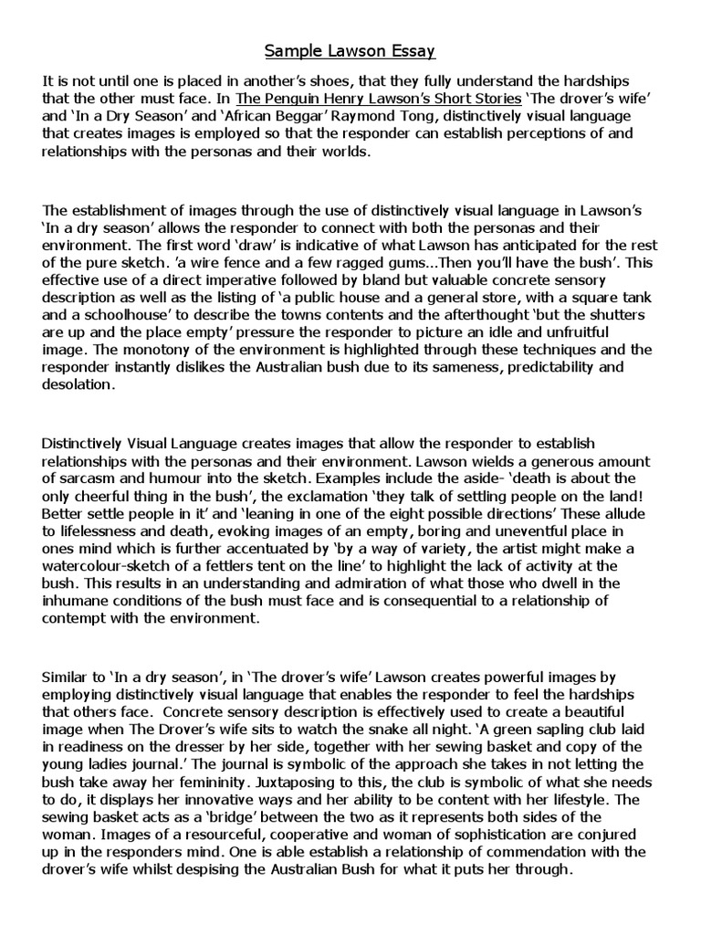 The loaded dog analysis image