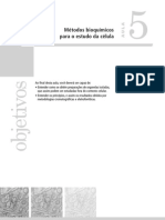 Aula 05.pdf