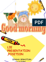 Lie ,Presentation Position for 3rd Bsc 2014