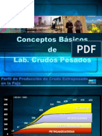 Curso Basico Crudo Pesados y Extrapesados