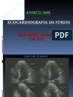 Test Ecocardiografico Da Stress