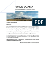 INFORME SAJAMA 2012 Ricardo González em português.pdf