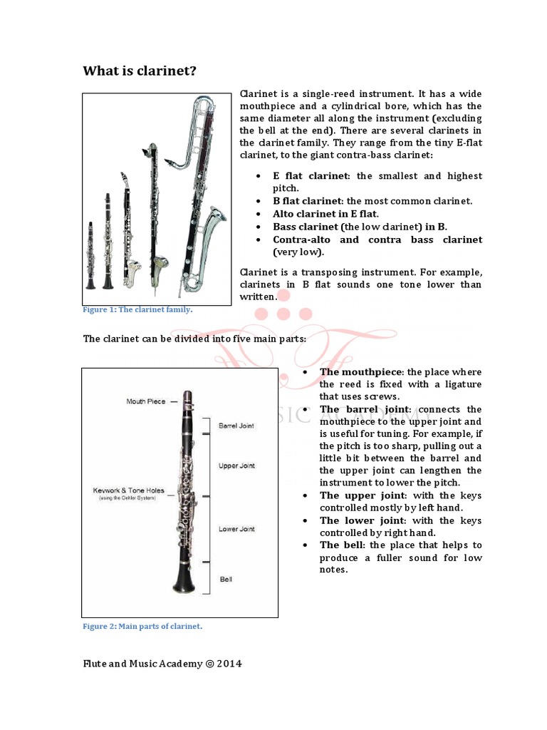Clarinet for dummies hotsell
