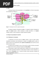 reprodução das plantas com flor e sem flor.pdf
