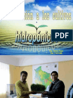 hidroponianft-121026124935-phpapp01.ppt