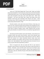 Download ANEMIA DEFISIENSI PADA IBU HAMIL by Vinthia  Yuriza SN242627317 doc pdf
