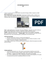 Citometria in Flux