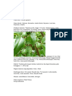 Download obat tanaman tradisional by itang superman SN24263413 doc pdf