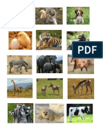 ANIMALES.docx