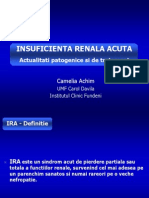 Insuficienta Renala Acuta: Actualitati Patogenice Si de Tratament