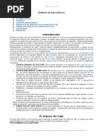 Control Interno de Caja y Bancos | PDF | Cheque | Bancos