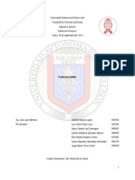 Reporte Final Anilina Nonplusultra Definitivo