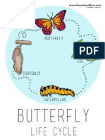 ButterflyChart.pdf