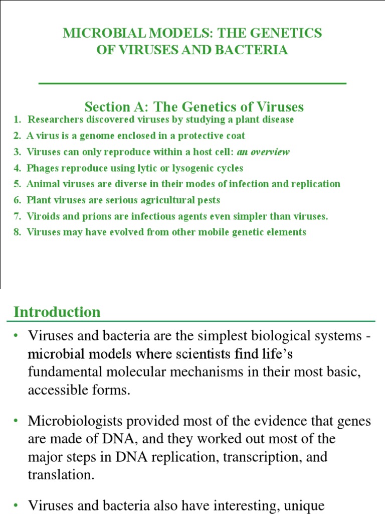 A Viruses Bacteria | PDF