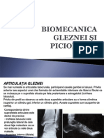 Curs 04 Biomecanica anII BFKT