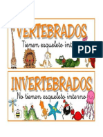 Animales Vertebrados.docx