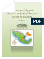 Animales en Peligro de Extinción en