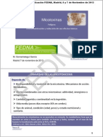 FEDNA 2013 Micotoxinas-M Gorrachategui PDF