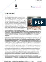 Economías-Bruschtein.pdf
