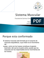 Sistema Muscular