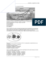 QUESTAO_RELACOES_ECOLOGICAS(1).doc