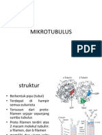 Mikrotubulus Fix