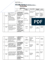 Graficul Desfasurarii Activitatilor