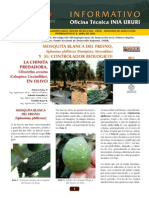 Mosca Blanca Del Olivo PDF