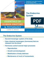 The Endocrine System: Part B