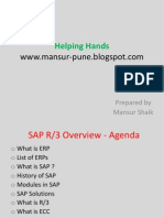 Sap Basic Ppt (Beginer)