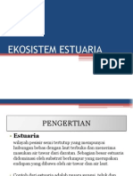 EKOSISTEM ESTUARIA.pptx