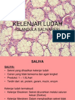 KELENJAR LUDAH Gambar