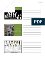 Evoluçãohumana (Modo de Compatibilidade) PDF