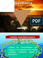 Triada Ecologíca - Causalidad y Multicausalidad