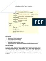 Metabolisme Purin Dan Pirimidin