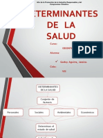 DETERMINANTES DE LA SALUD EXPOSICION.pptx