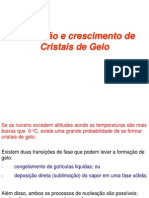 Capitulo 6 - Formação e crescimento de Cristais de Gelo - 2014.pdf