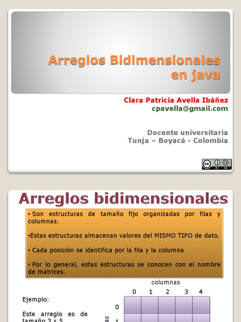 Arreglos Bidimensionales PDF | PDF | Informática