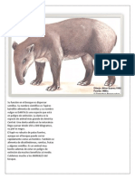 tapir sudamericano.docx