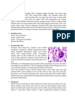 Infeksi Cmv & Aktinomikosis
