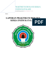 Laporan Praktikum Biologi Kerja Enzim Katalase