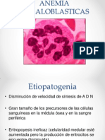 Anemia Megaloblastica