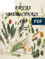 Ervasmedicinaistrab Grupo 110329163851 Phpapp01