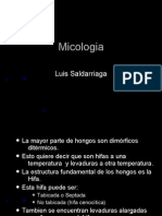 Atlas Micología