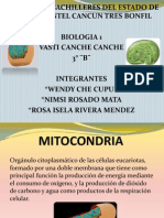 BIOLOGIA.pptx
