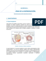 Lección No 1. Fisiología de La Reproduccion1